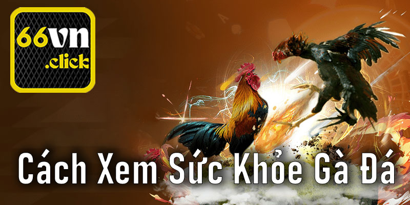 Kiểm Soát Sức Khỏe Gà Đá